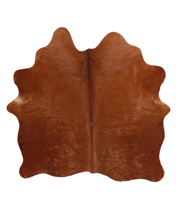 Solid Brown Large Brazilian Cowhide Rug 5'7"H x 5'10"W #67037 by Hudson Hides