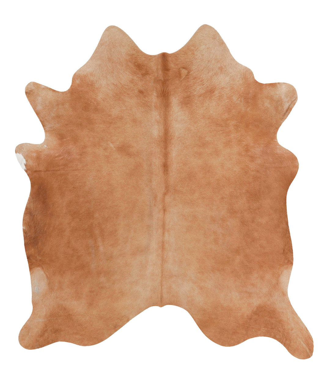 Beige Large Brazilian Cowhide Rug 6'7"H x 5'11"W #68059 by Hudson Hide