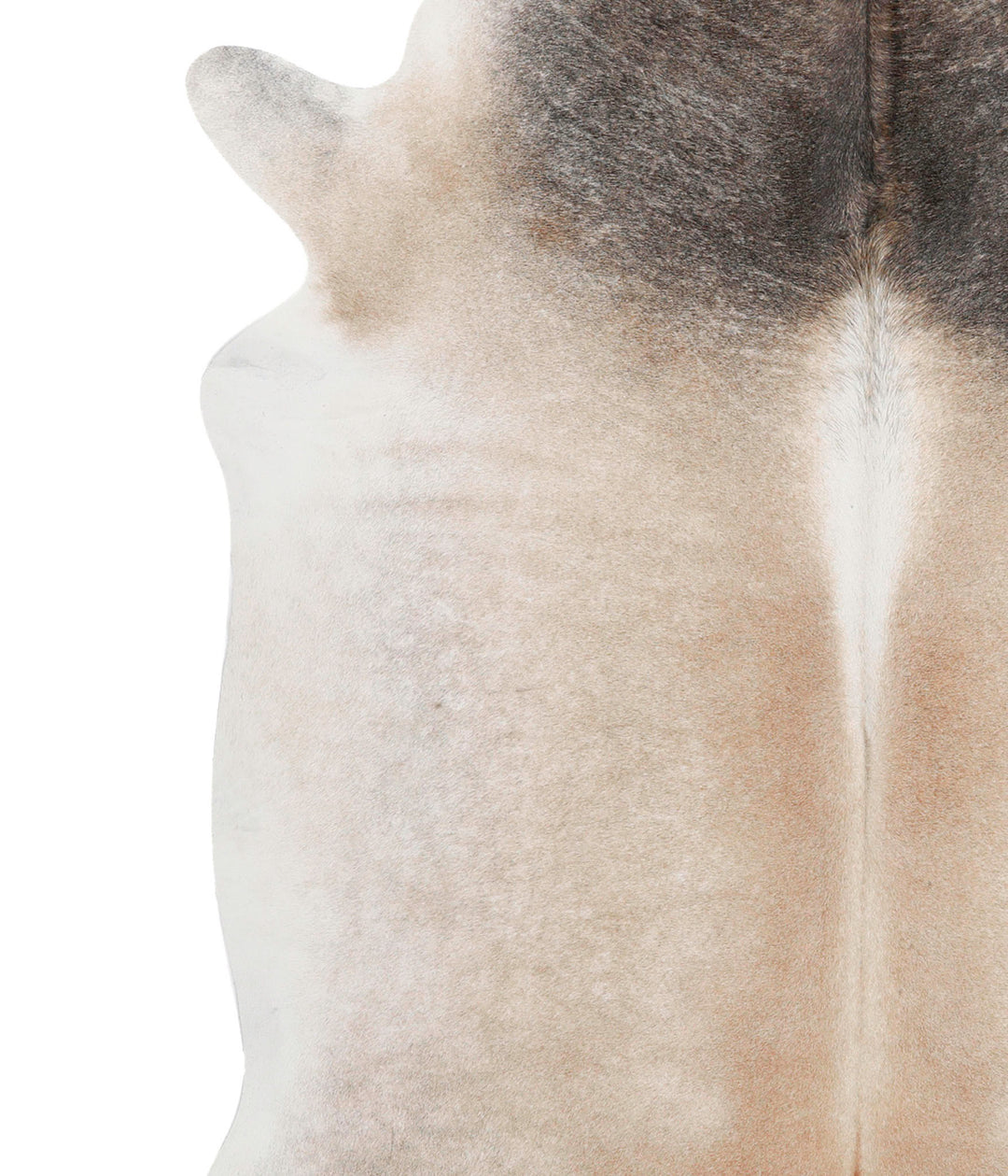 Grey with Beige XX-Large Brazilian Cowhide Rug 7'4"H x 7'1"W #68334 by