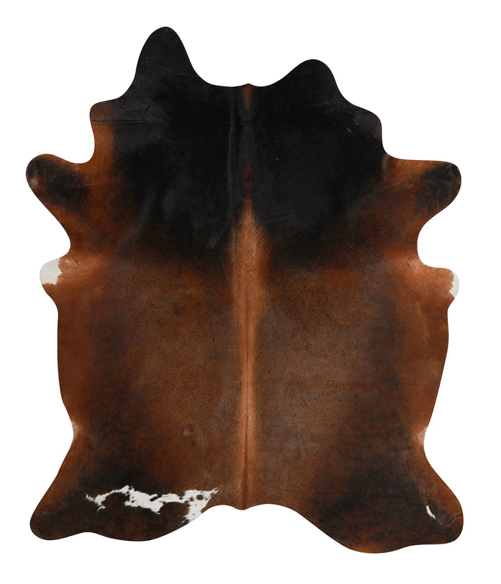 Warm Caramel XX-Large Brazilian Cowhide Rug 7'10"H x 6'6"W #81981 by Hudson Hides