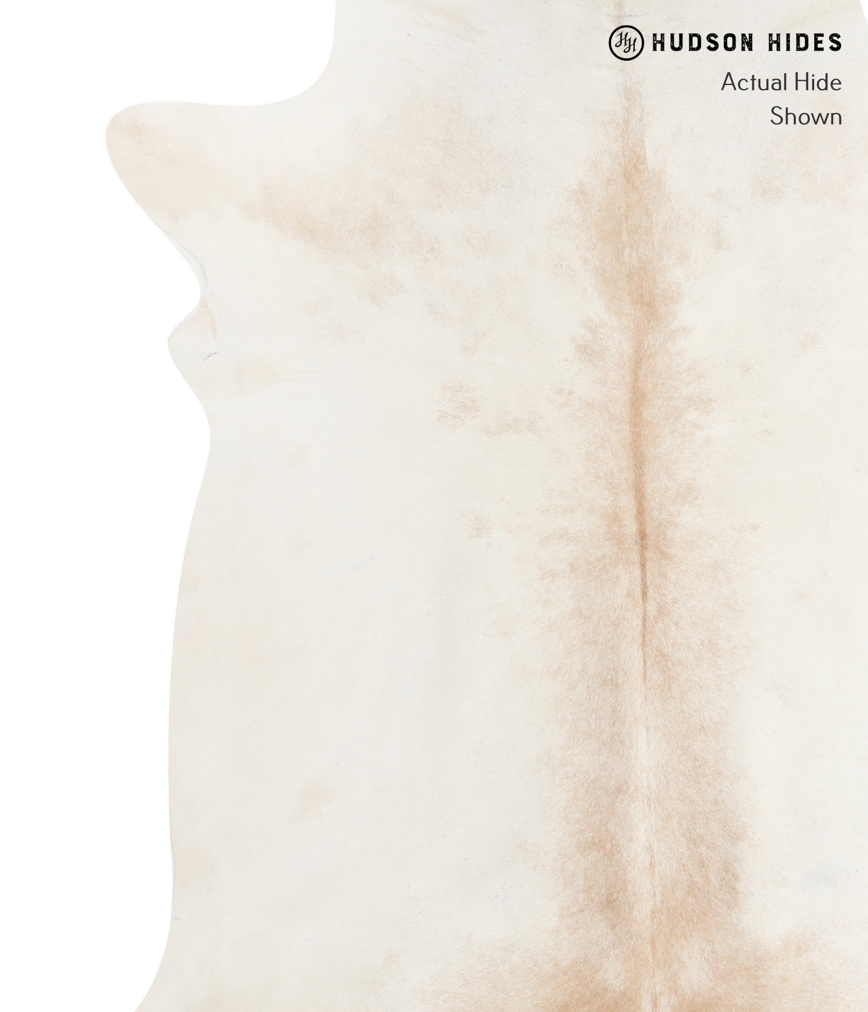 Ivory with Beige Cowhide Rug #A10365