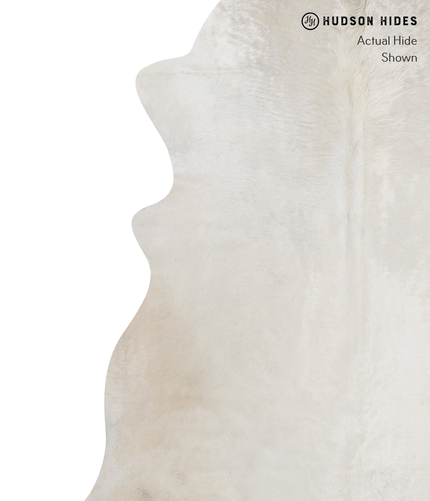 Ivory with Beige Cowhide Rug #A12045