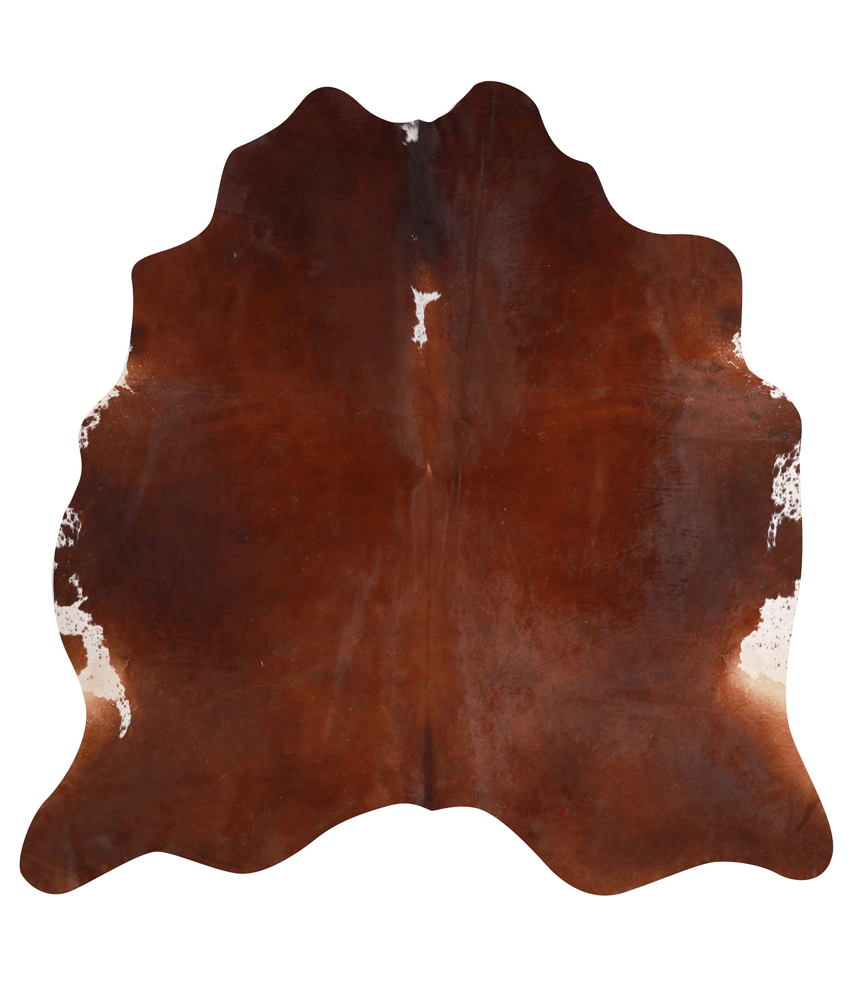 Brown and White Regular Cowhide Rug #A12073