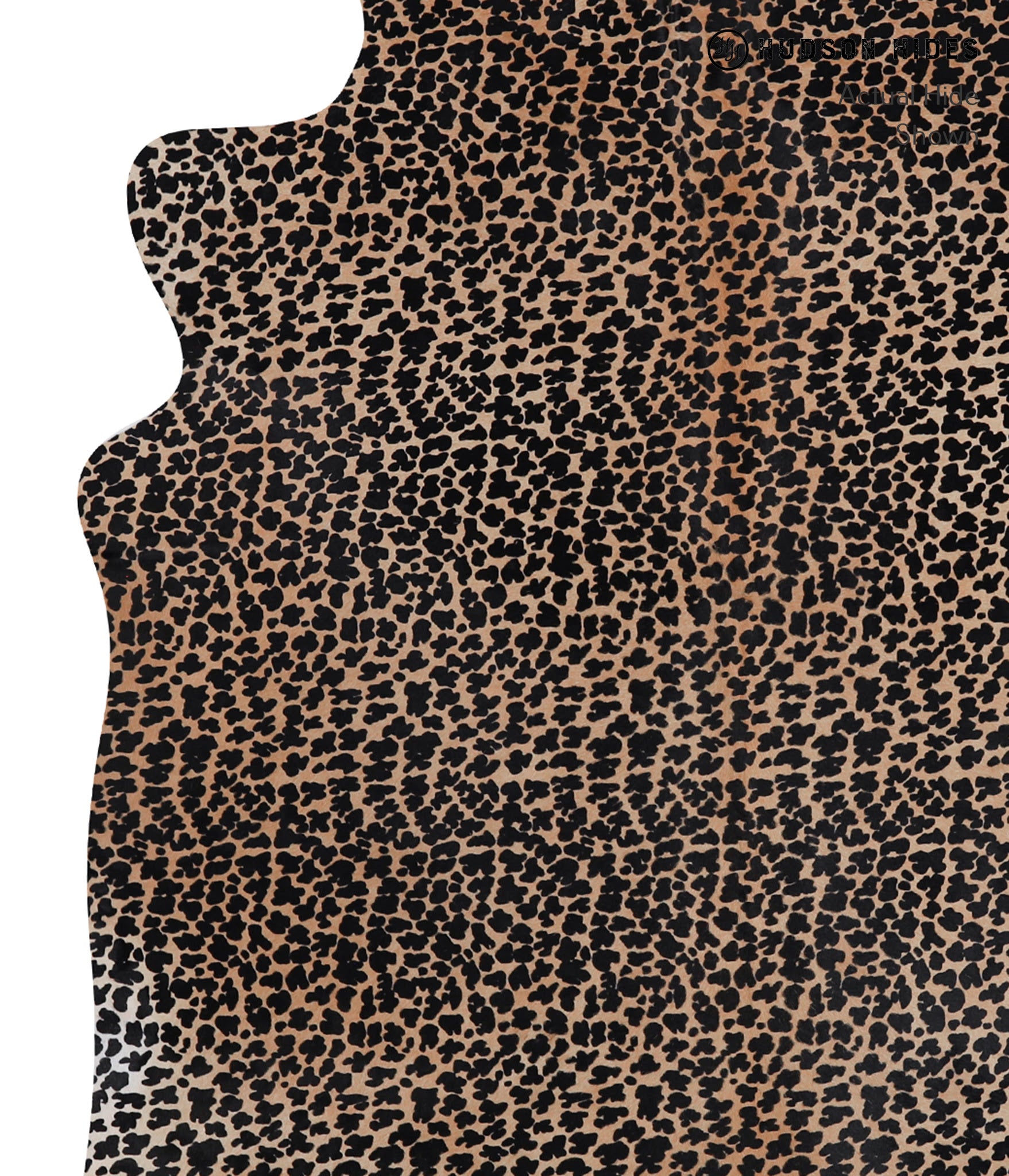 Animal Print Cowhide Rug #A12829