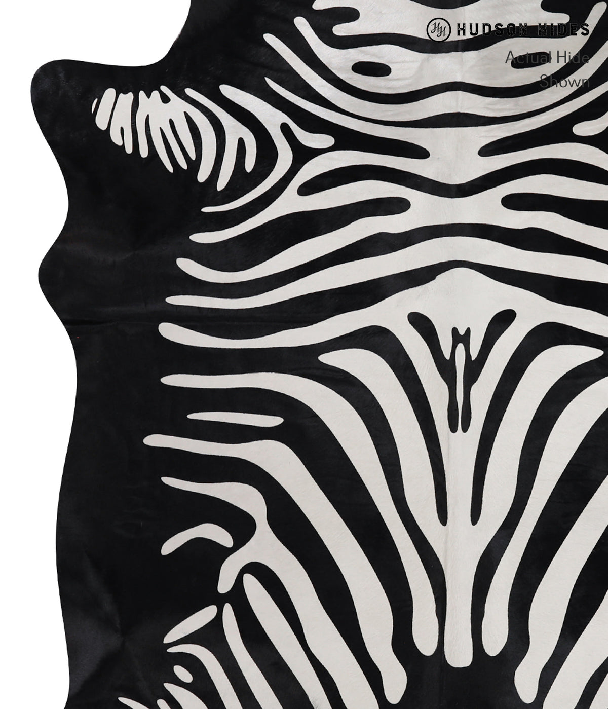 Zebra Large Brazilian Cowhide Rug 6'10"H x 5'6"W #A12859 by Hudson Hides
