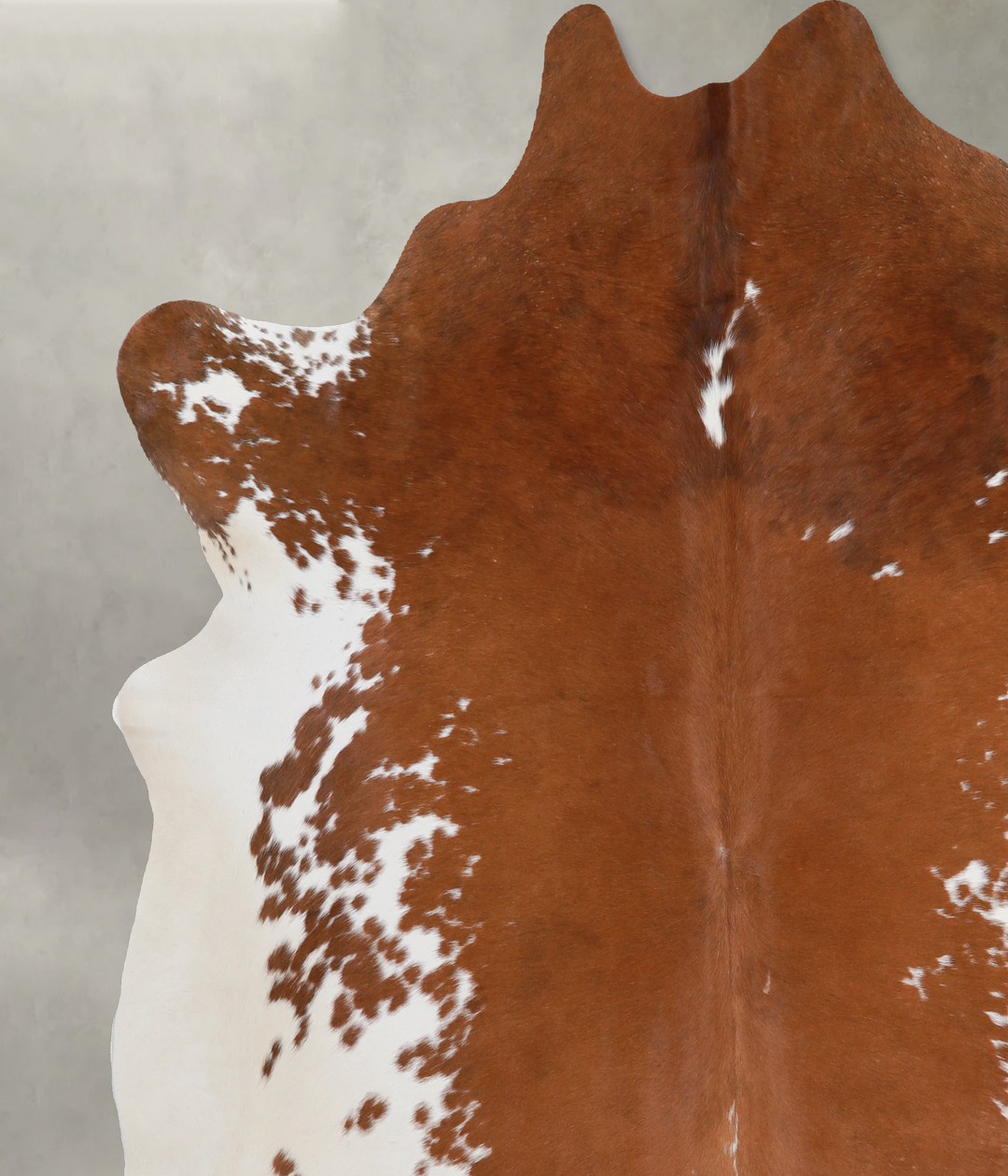 Brown and White XX-Large Brazilian Cowhide Rug 7'0"H x 7'4"W #A13121 b