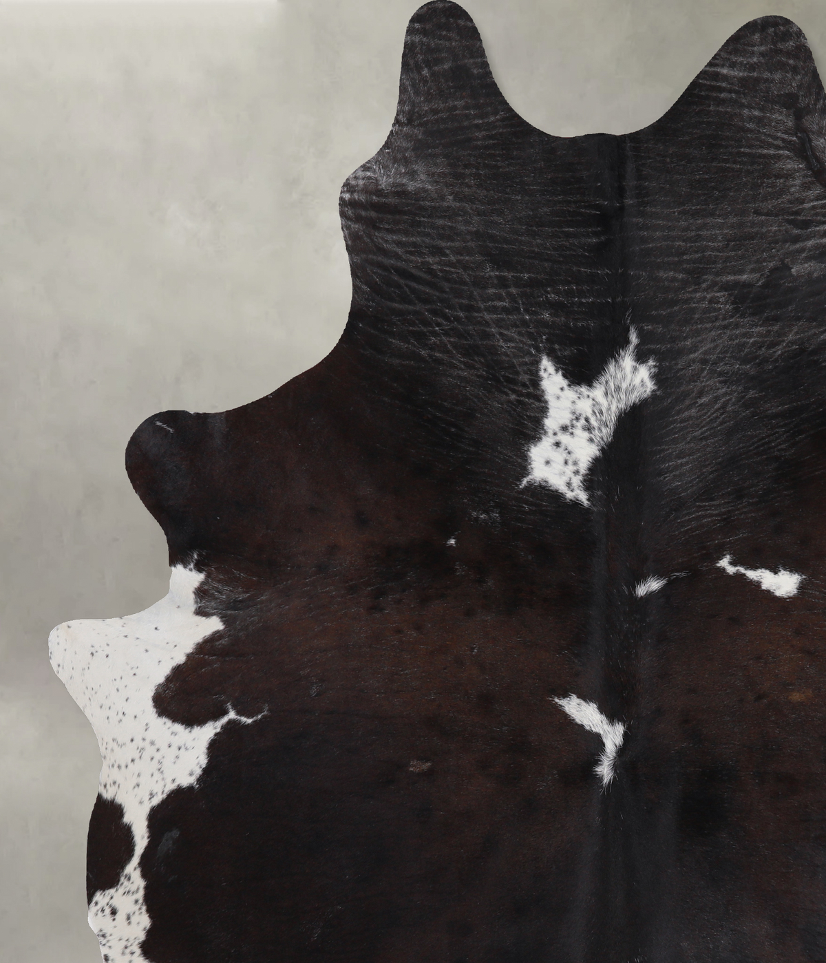 Chocolate and White Cowhide Rug #A13157