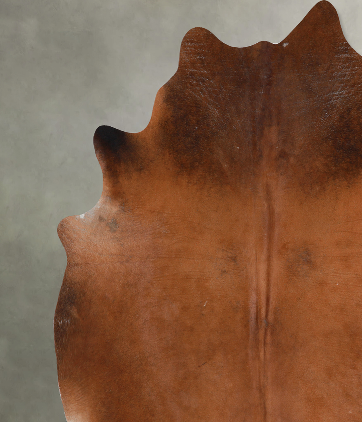 Warm Caramel XX-Large Brazilian Cowhide Rug 6'11"H x 7'7"W #A13161 by Hudson Hides