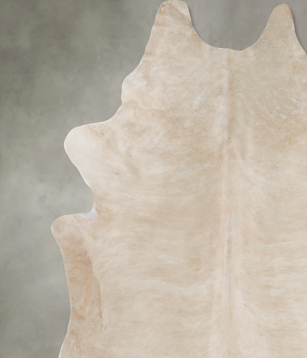 Champagne XX-Large Brazilian Cowhide Rug 8'3"H x 7'6"W #A13192 by Hudson Hides