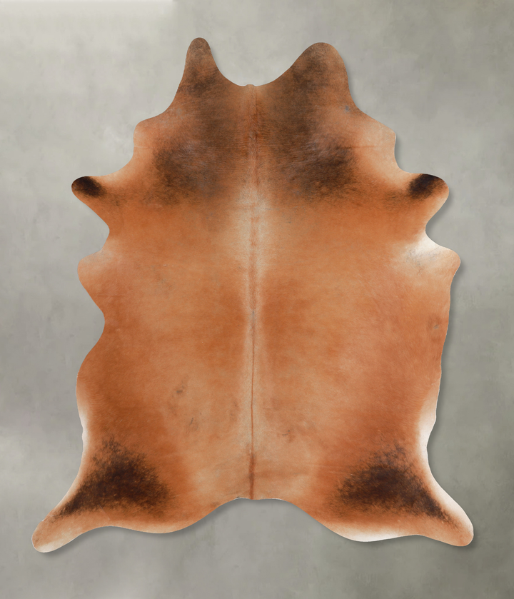 Solid Brown XX-Large Brazilian Cowhide Rug 7'11"H x 6'5"W #A13217 by Hudson Hides