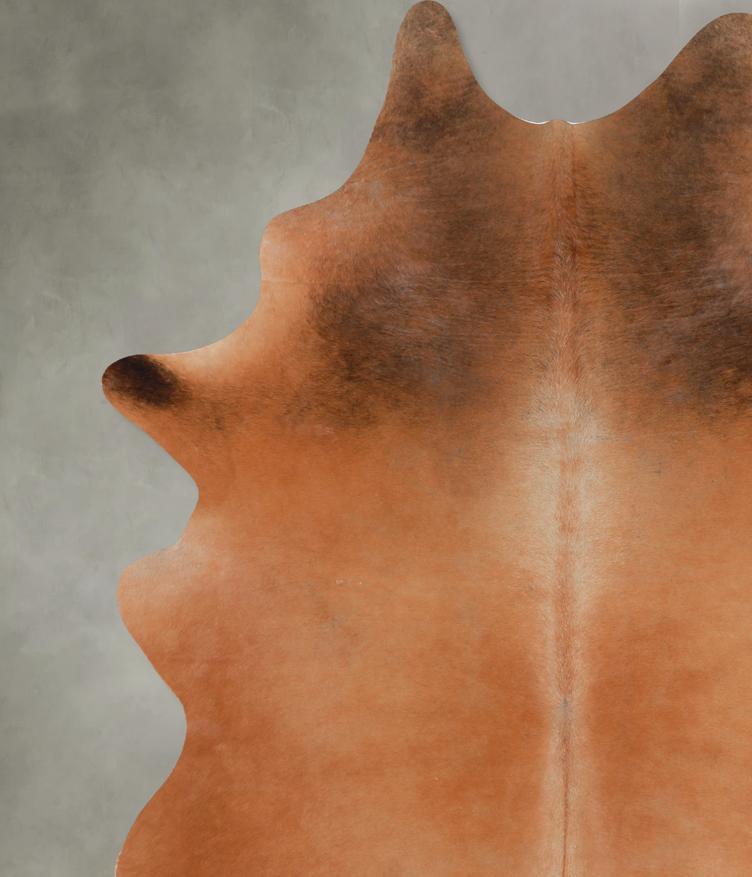 Solid Brown XX-Large Brazilian Cowhide Rug 7'11"H x 6'5"W #A13217 by H