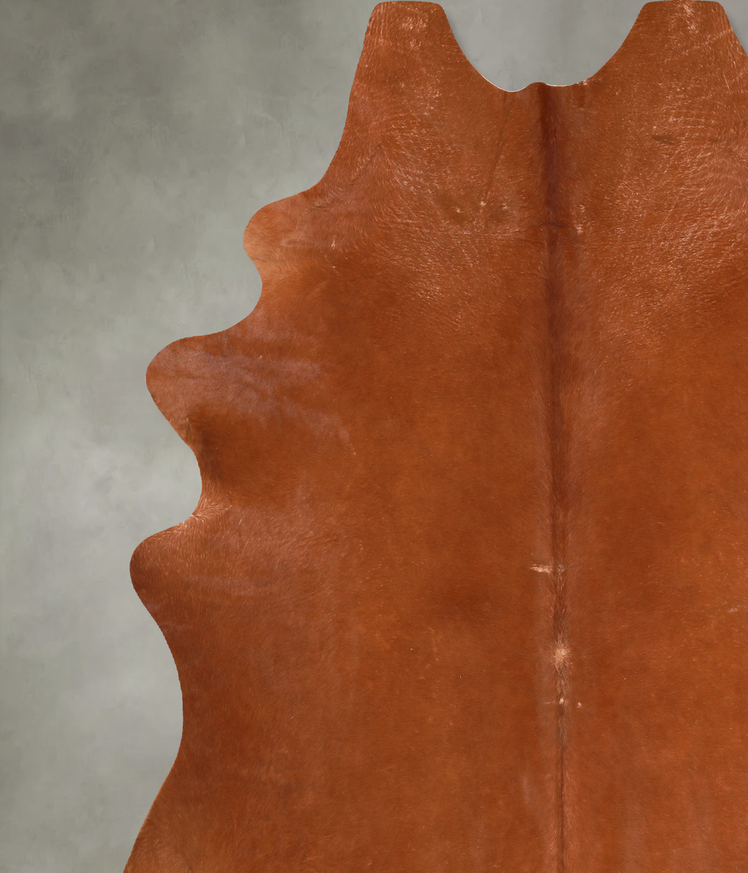 Solid Brown XX-Large Brazilian Cowhide Rug 8'1"H x 7'8"W #A13221 by Hu