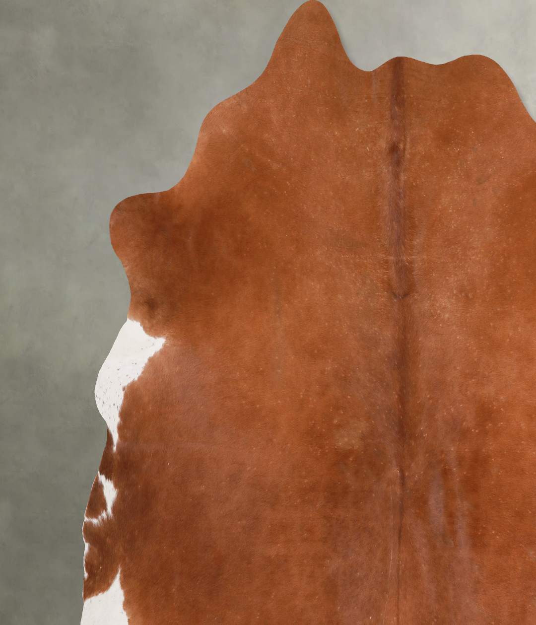 Solid Brown XX-Large Brazilian Cowhide Rug 7'9"H x 8'1"W #A13226 by Hu