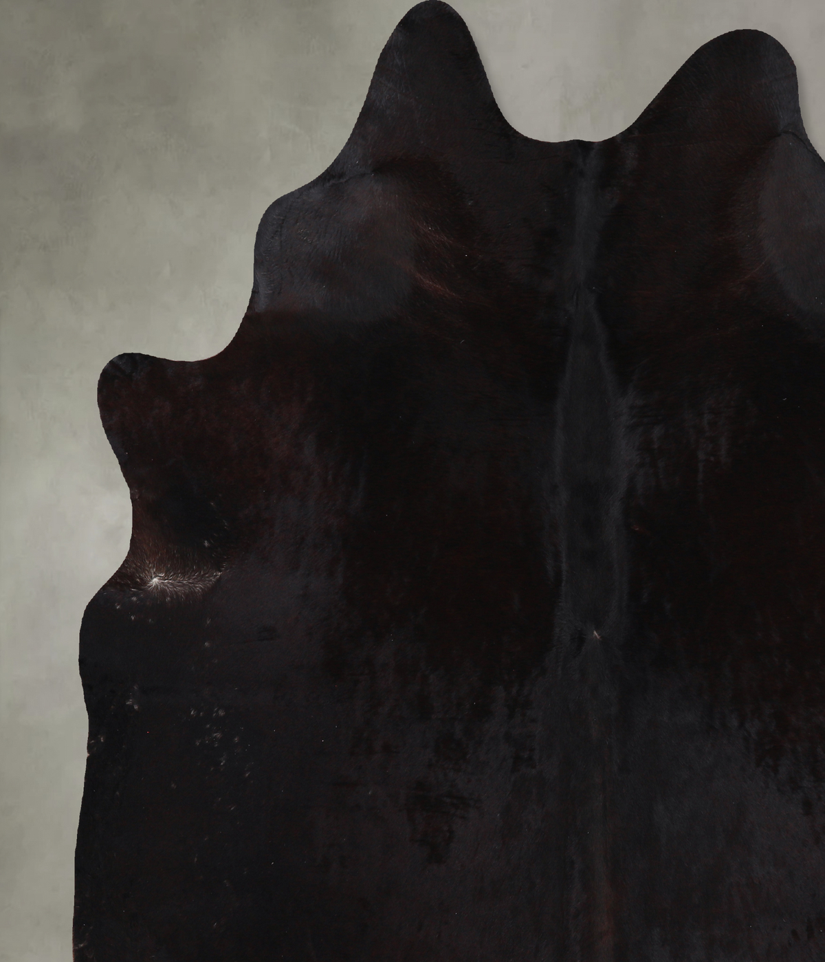 Solid Black XX-Large Brazilian Cowhide Rug 7'4"H x 7'3"W #A13236 by Hudson Hides