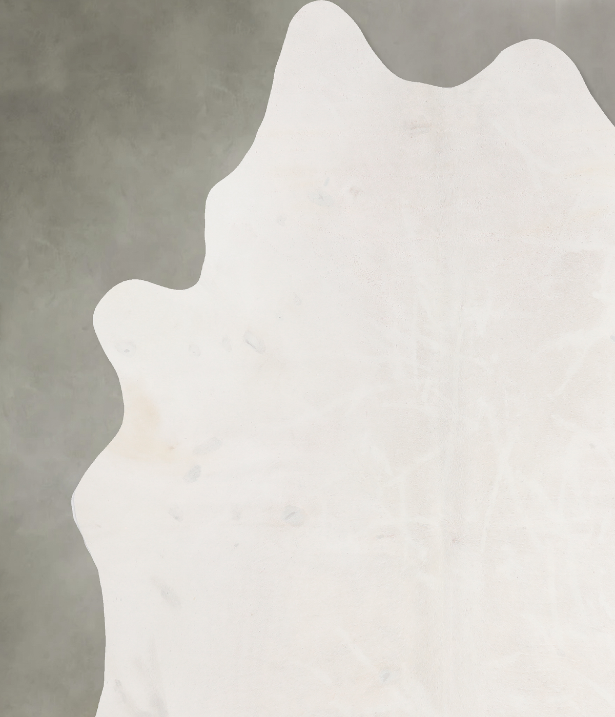Solid White XX-Large Brazilian Cowhide Rug 7'2"H x 7'1"W #A13241 by Hudson Hides