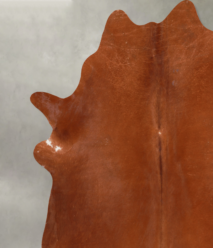Solid Brown XX-Large Brazilian Cowhide Rug 7'9"H x 7'6"W #A13246 by Hudson Hides