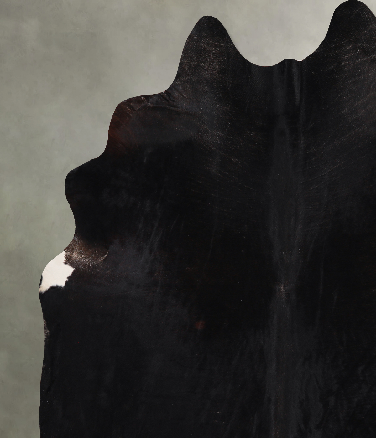 Solid Black XX-Large Brazilian Cowhide Rug 7'10"H x 7'4"W #A13247 by Hudson Hides