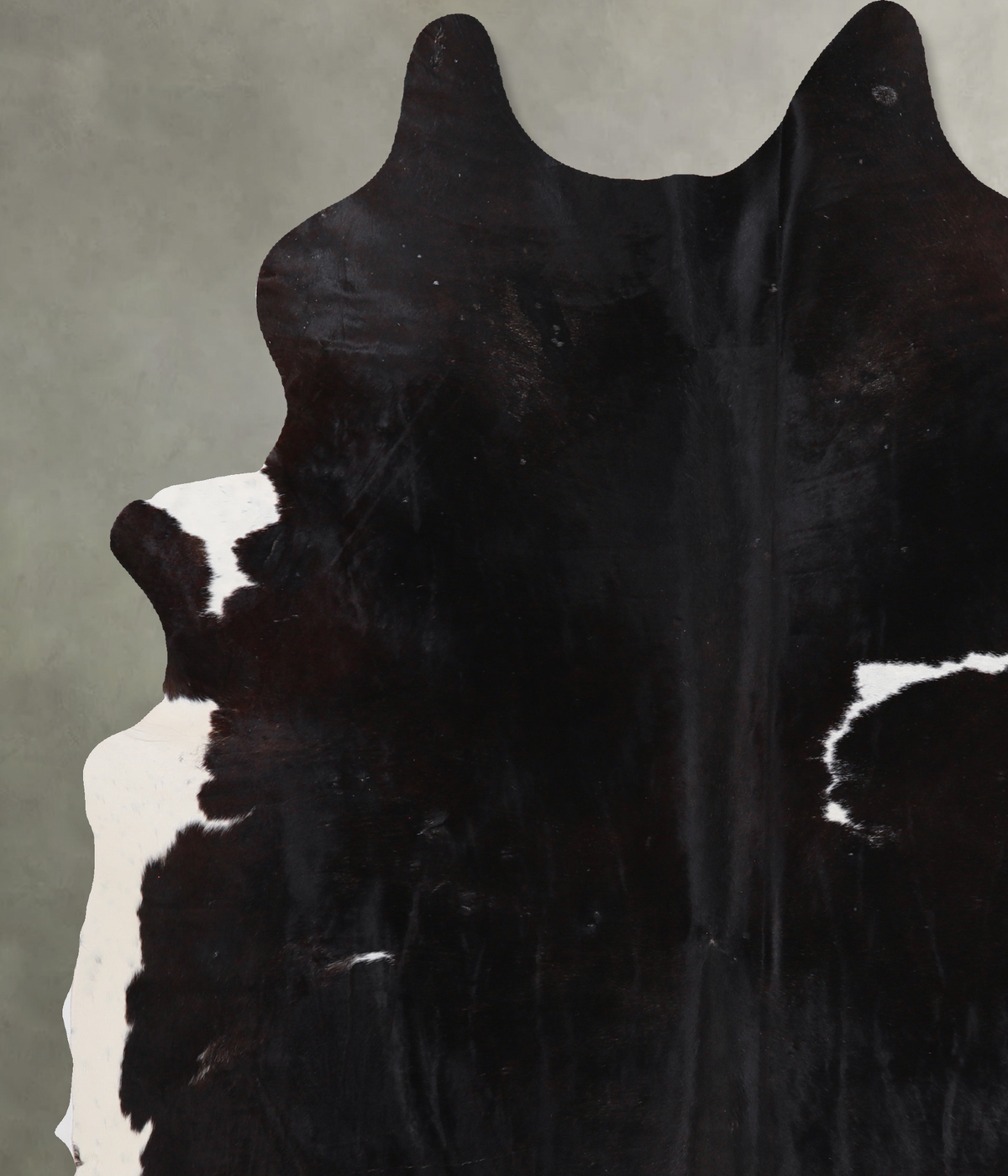 Chocolate and White Cowhide Rug #A13261