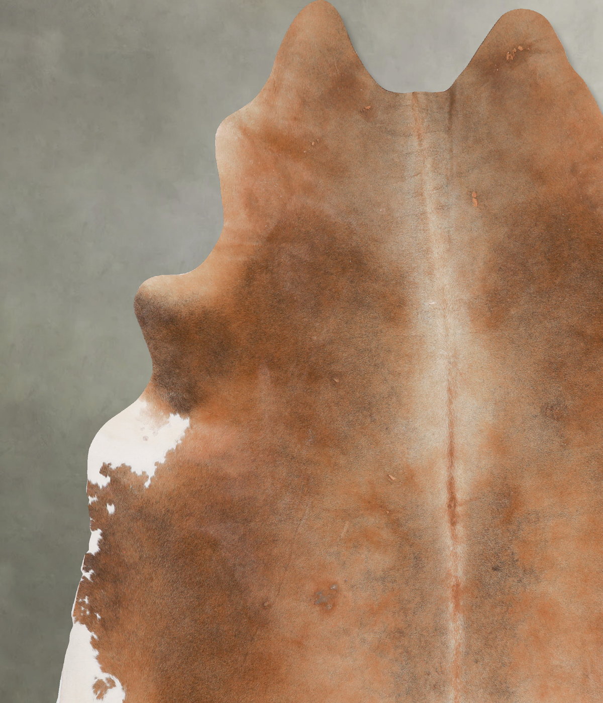 Light Caramel XX-Large Brazilian Cowhide Rug 7'10"H x 7'6"W #A13263 by Hudson Hides
