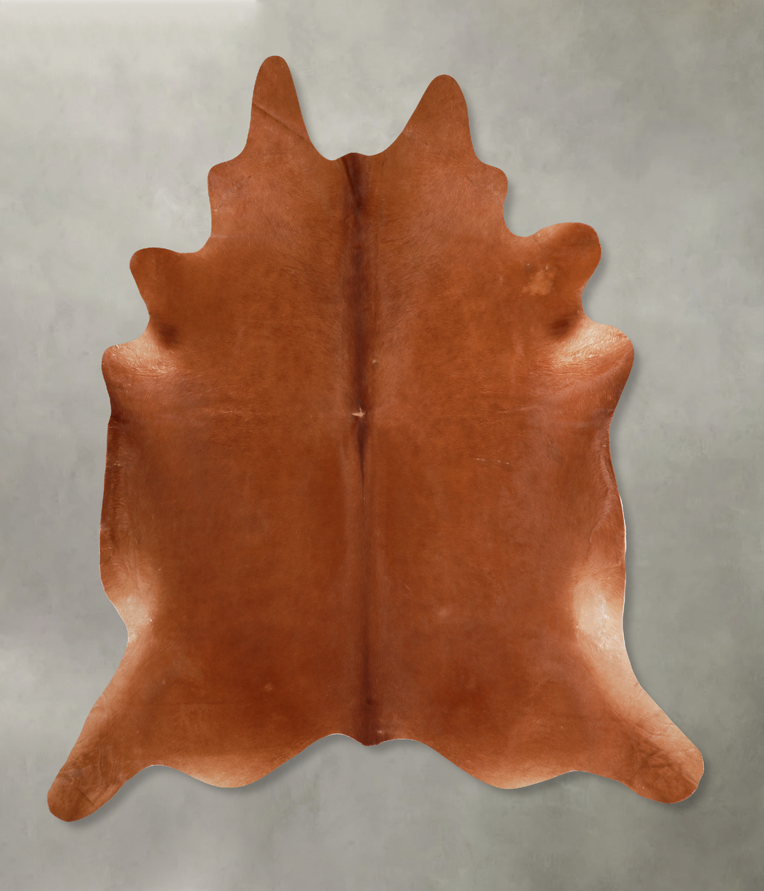 Solid Brown XX-Large Brazilian Cowhide Rug 8'0"H x 8'1"W #A13265 by Hu