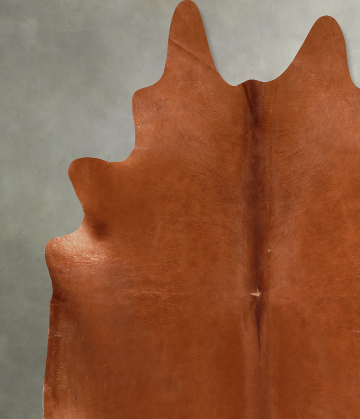Solid Brown XX-Large Brazilian Cowhide Rug 8'0"H x 8'1"W #A13265 by Hudson Hides