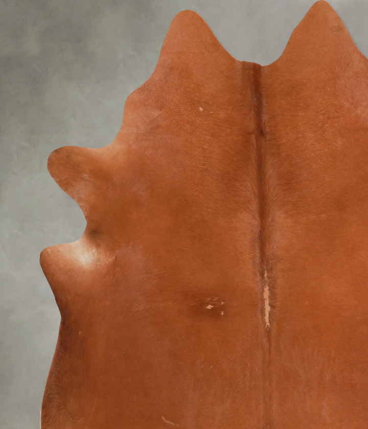 Solid Brown XX-Large Brazilian Cowhide Rug 7'1"H x 7'5"W #A13276 by Hudson Hides