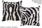 Zebra 20