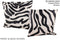 Zebra 20