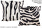 Zebra 20
