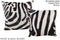 Zebra 20