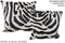 Zebra 20