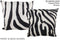 Zebra 20