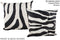 Zebra 20