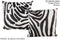 Zebra 20
