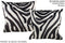 Zebra 20