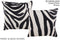 Zebra 16