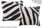 Zebra 16