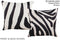 Zebra 16