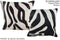 Zebra 16