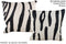 Zebra 16