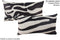 Zebra 12