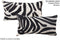 Zebra 12