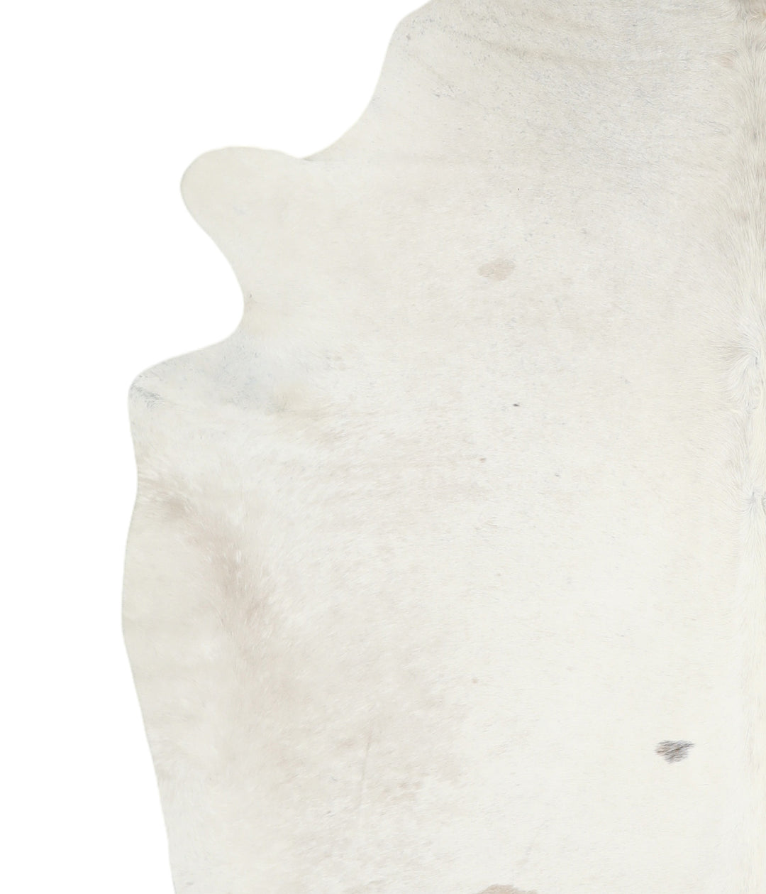 Ivory with Beige XX-Large Brazilian Cowhide Rug 7'9"H x 7'0"W #A15887R