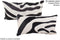 Zebra 12