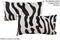 Zebra 12
