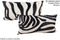 Zebra 12
