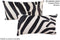 Zebra 12