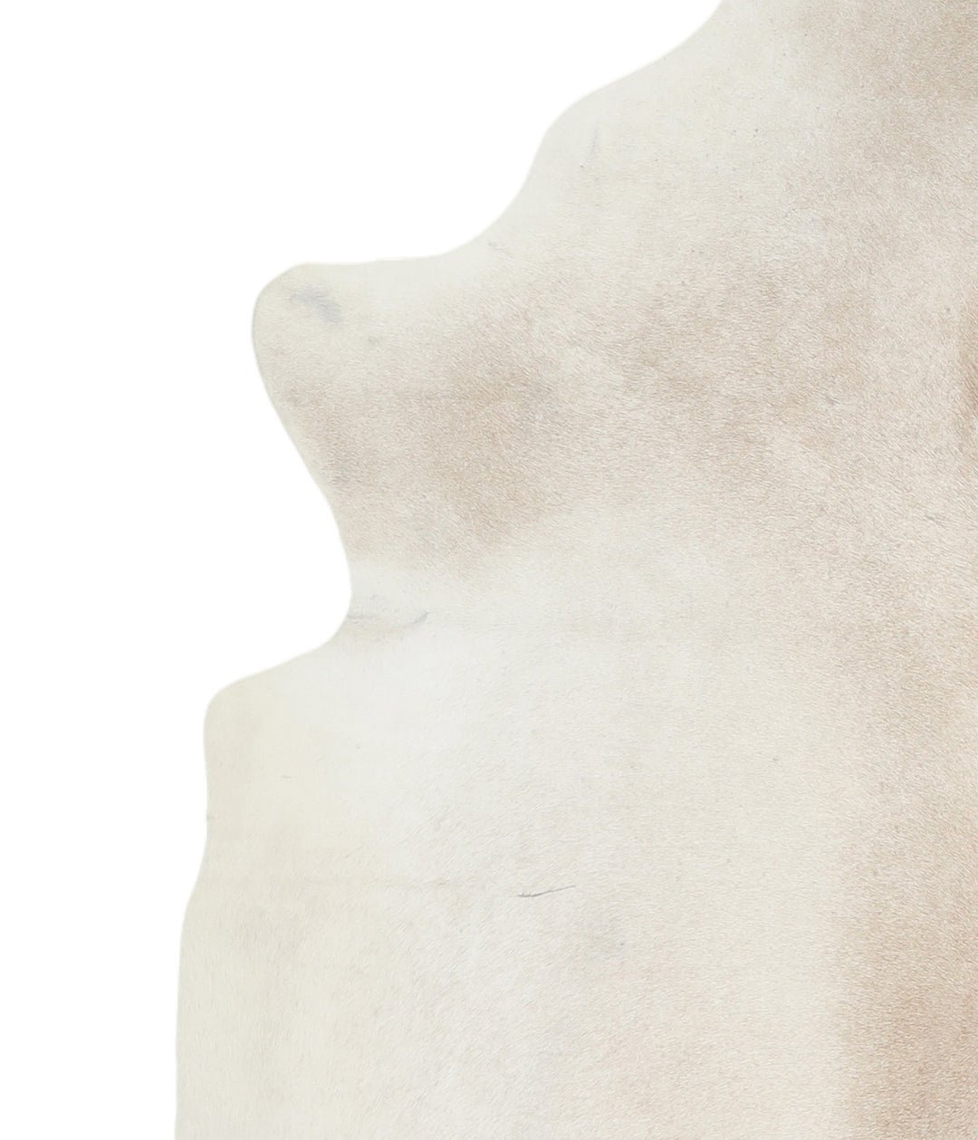 Ivory with Beige X-Large Brazilian Cowhide Rug 7'2"H x 5'10"W #A16105R