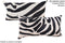 Zebra 12