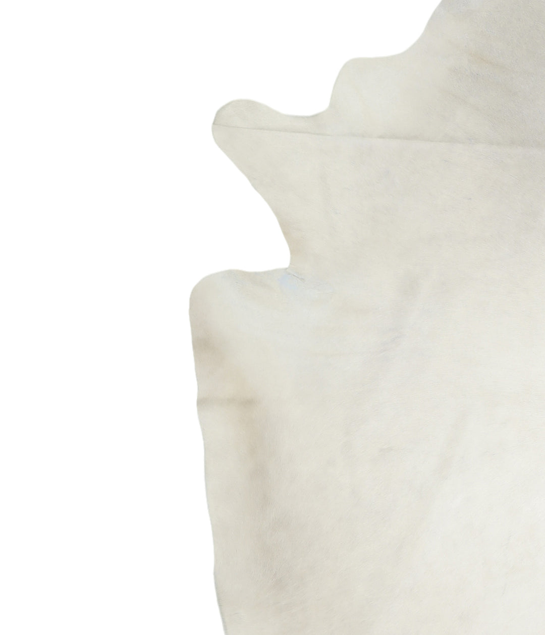 Ivory with Beige XX-Large Brazilian Cowhide Rug 8'2"H x 6'9"W #A16385R